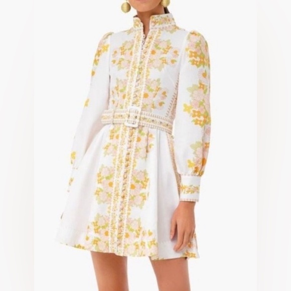 Tuckernuck Dresses & Skirts - Tuckernuck Beulah dress NWT